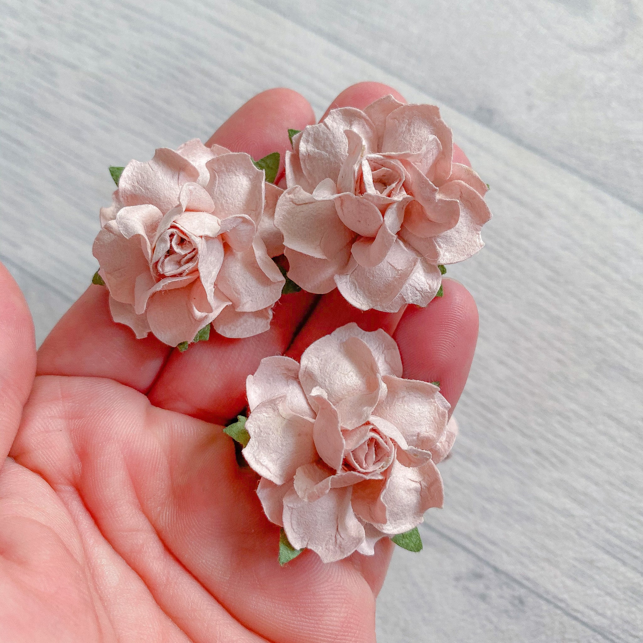 Blush Modern Rose Mulberry Flowers 37mm (10)